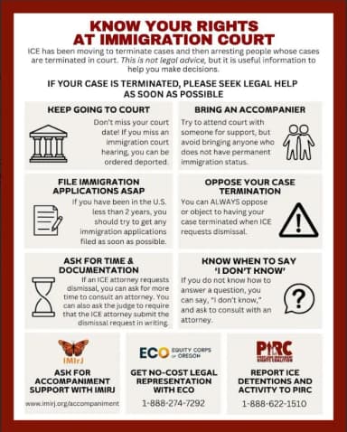 A preview image of the Know Your Rights at Immigration Court file