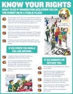 A preview image of the Know Your Rights - Lesson #4 file