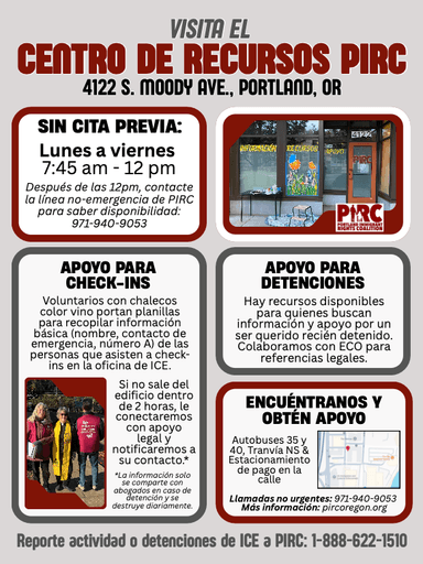 A preview image of the Centro de Recursos PIRC file