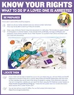 A preview image of the Know Your Rights - Lesson #7 file