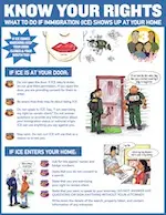 A preview image of the Know Your Rights - Lesson 3 file