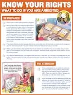 A preview image of the Know Your Rights - Lesson #6 file