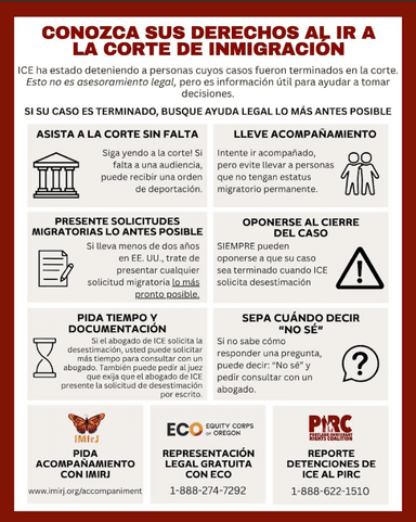 A preview image of the Conozca sus derechos en el Tribunal de Inmigración file