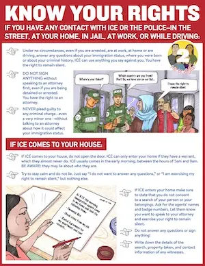 A preview image of the Know Your Rights - Lesson #2 file