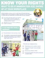 A preview image of the Know Your Rights - Lesson #5 file